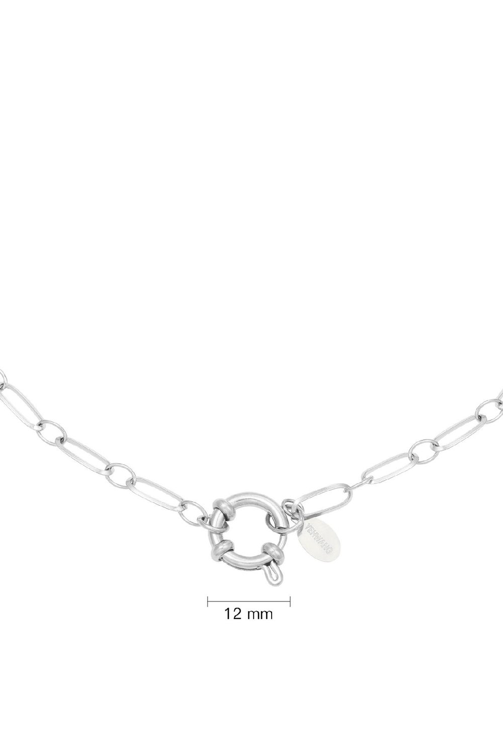 Ketting Chain Cora Zilver Stainless Steel h5Afbeelding2